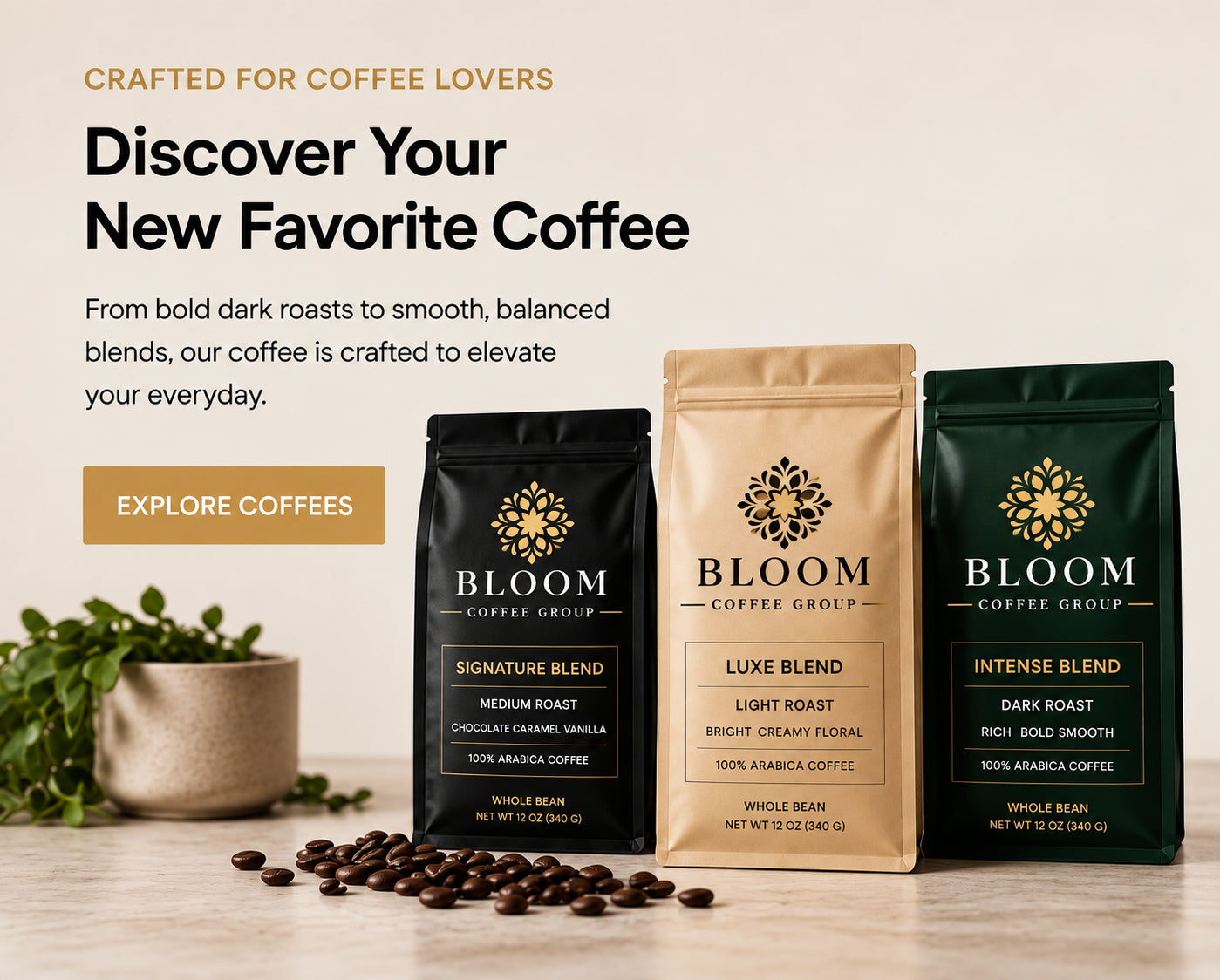 Discover your new favorite Bloom coffee